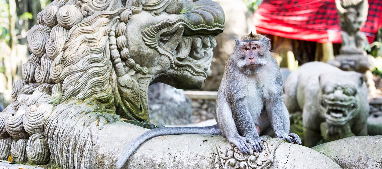 Ubud Monkey Forest