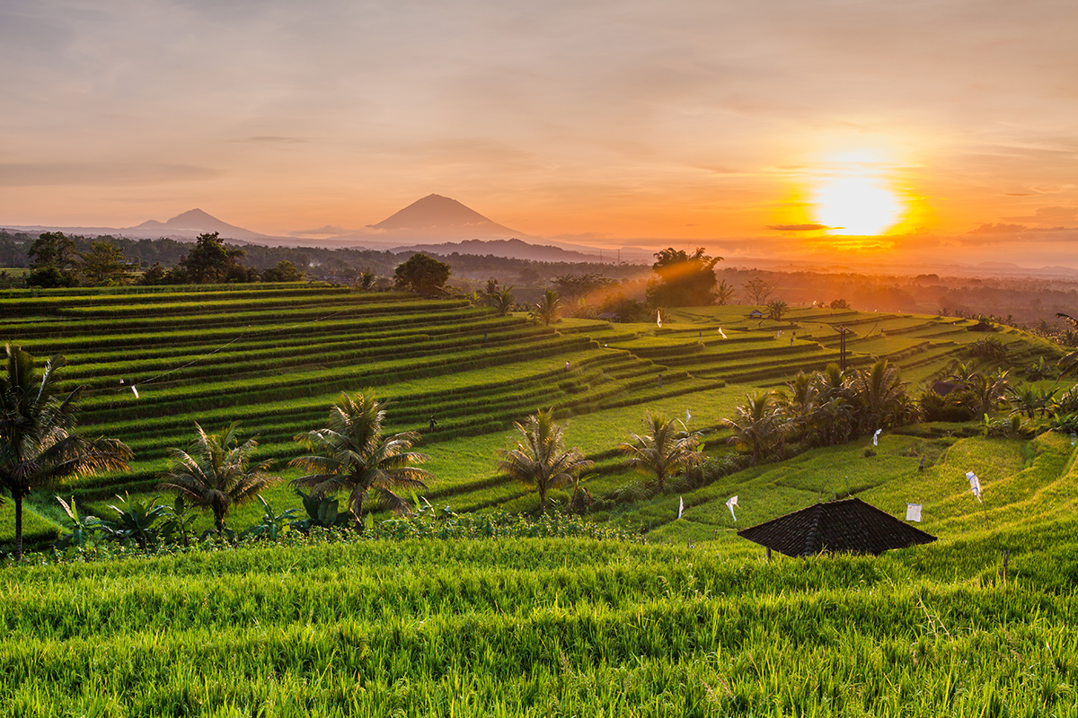 Find Serenity in Ubud, Bali