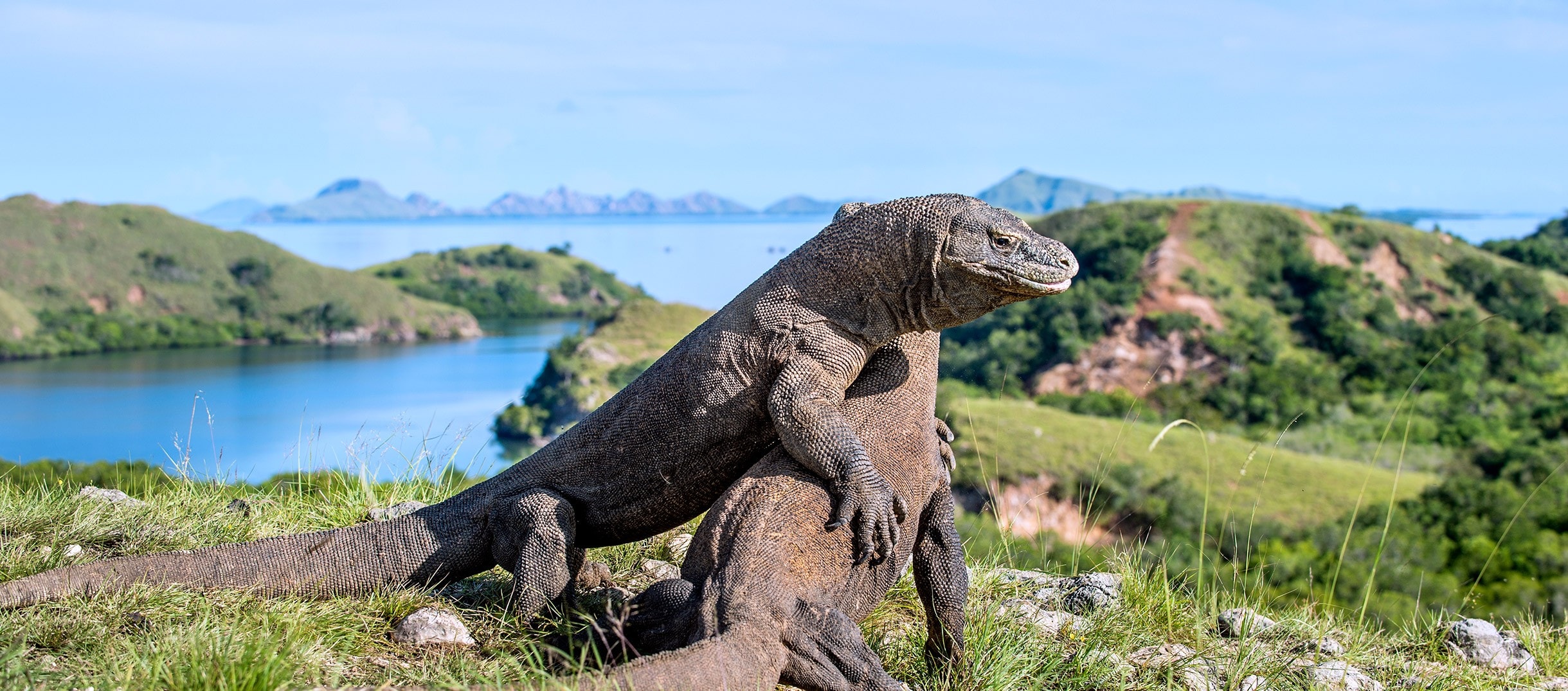 Komodo National Park