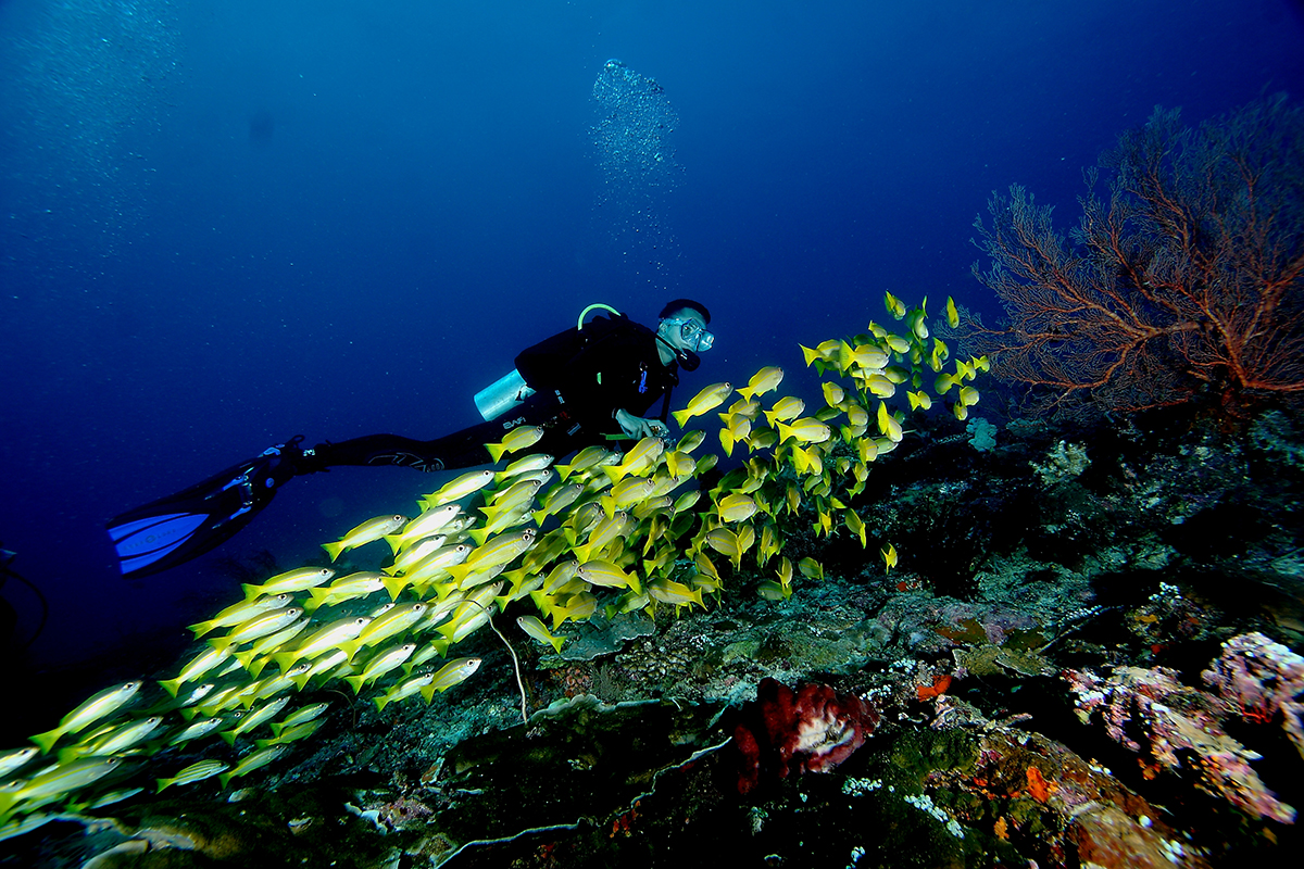 The Ultimate Pristine Paradise in West Papua