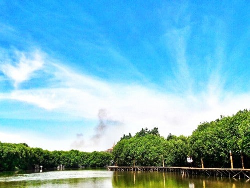 Mangrove of Maerokoco: The Photogenic Eco Tourism Destination in Semarang, Central Java