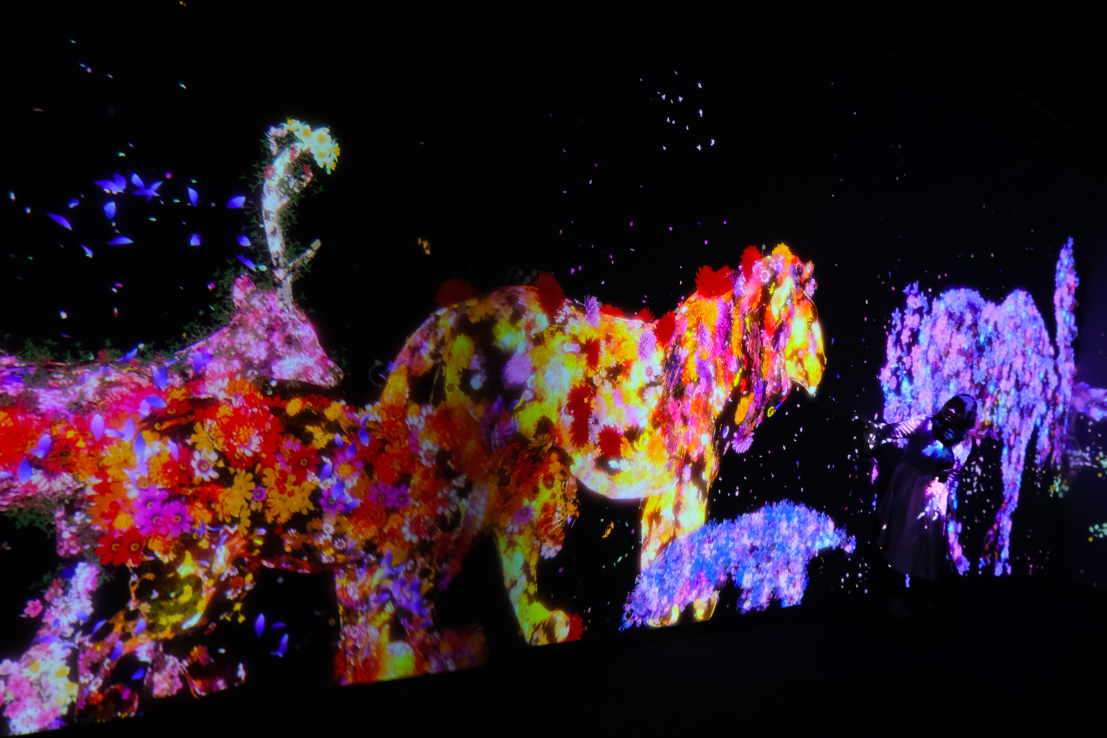 TeamLab Future Park Installation, Enjoy the Digital Art Gallery Experience