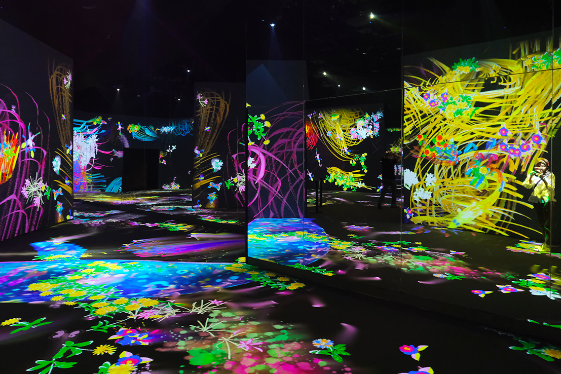 TeamLab Future Park Installation, Enjoy the Digital Art Gallery Experience