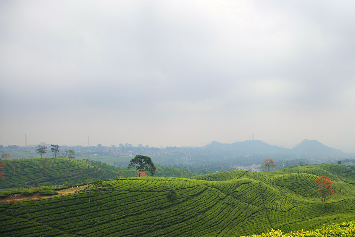 Lembang, A Mountainous Getaway from the Hectic Urban Life