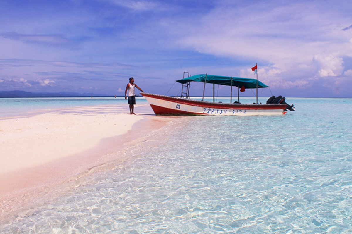 Do not miss these PIECES OF PARADISE at the Incredible RAJA AMPAT ISLANDS