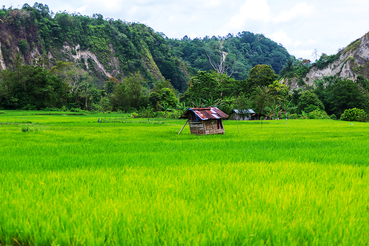 ngarai sianok