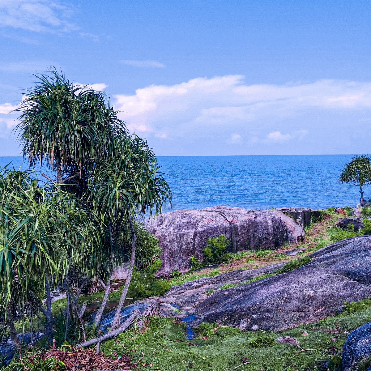 Rat Island (Pulau Tikus)