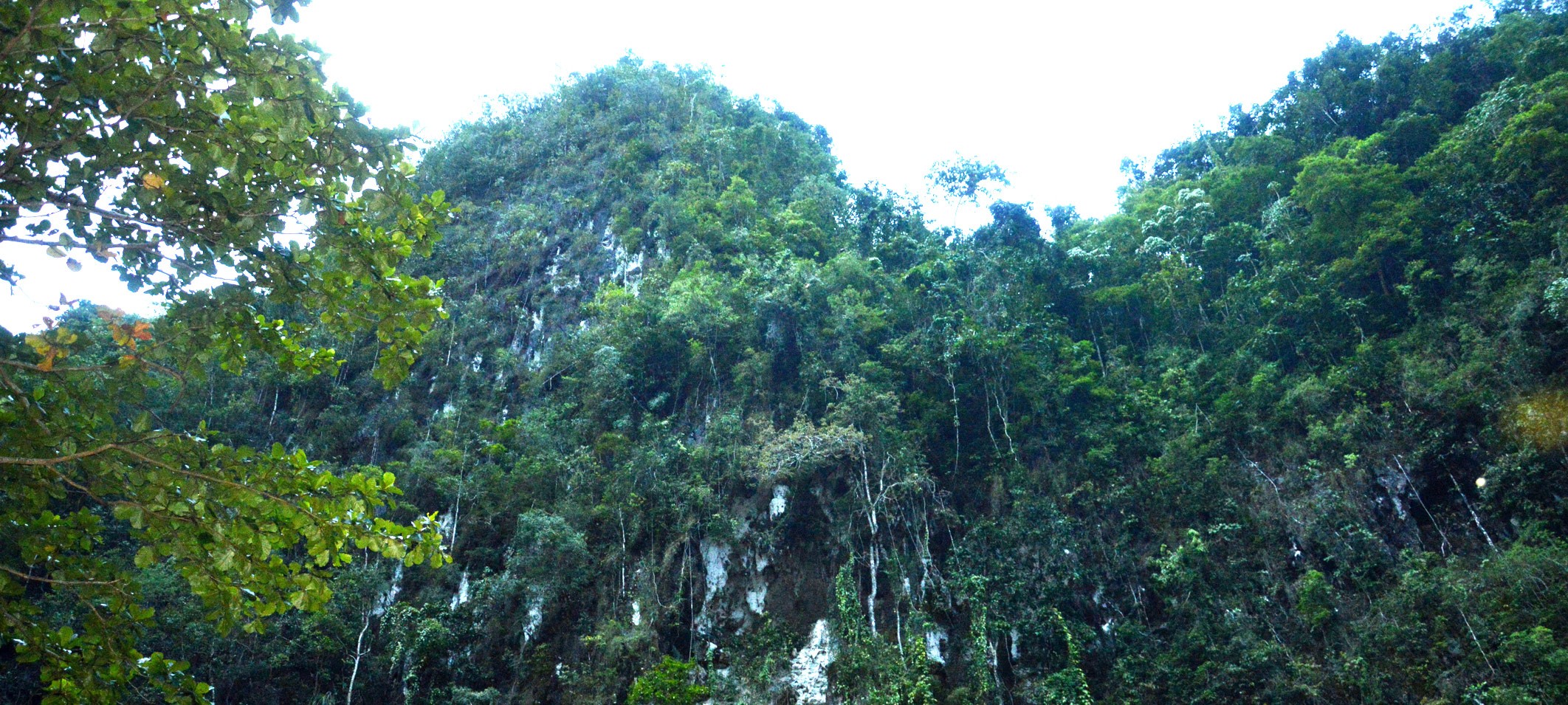 Bantimurung NP: Roaring Waterfall, Butterfly Kingdom