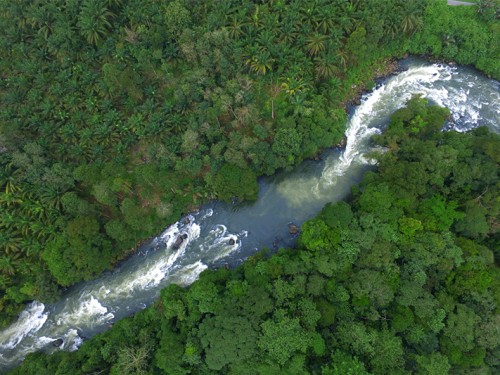 Rafting the Asahan River in North Sumatra Will Get Your Adrenaline Pumping