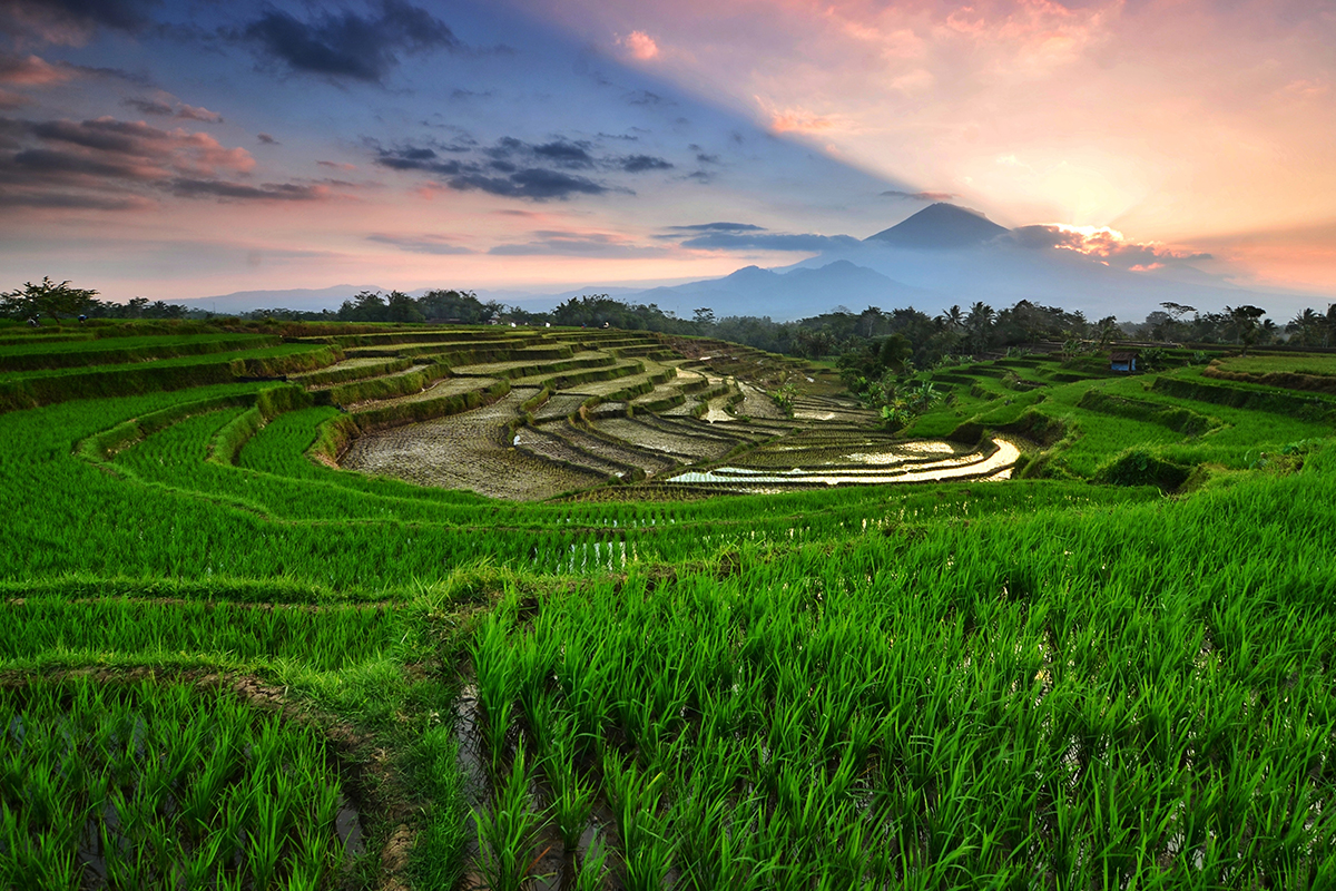 Borobudur International Arts and Performance Festival 2018