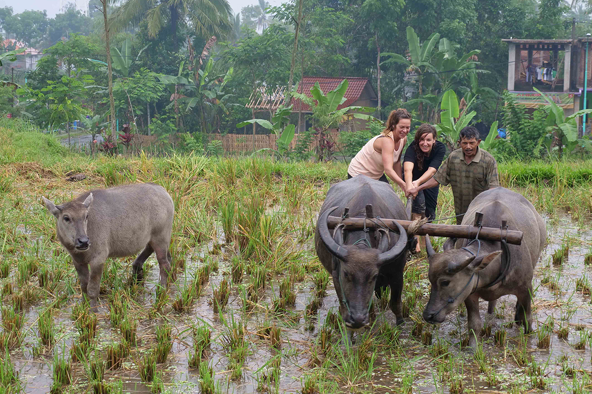 The Appealing ARCHIPELAGO TOURISM VILLAGES FESTIVAL 2018 in Ubud, Bali