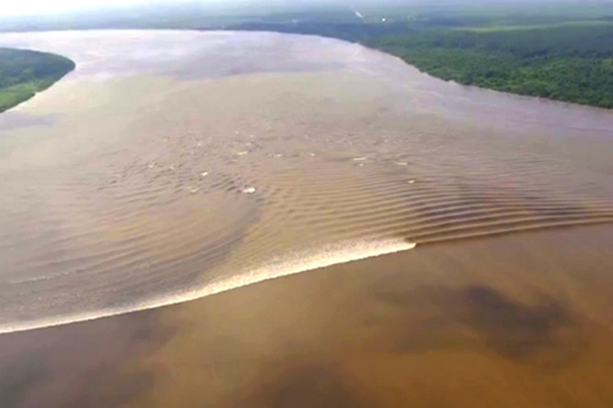 Thrill to the BEKUDO BONO FESTIVAL 2018: Surf Kilometers Upriver in Riau!