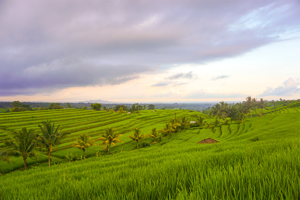 Thrilling INTERNATIONAL TOUR DE BANYUWANGI-IJEN 2018: Cycling Across Scenic Banyuwangi