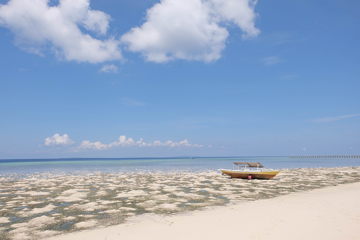 WAKATOBI WAVE 2018: Explore the Breathtaking Seas and Culture of Wakatobi