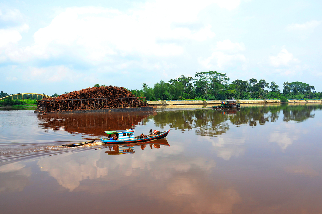 Witness The Spectacular December Solar Eclipse in Siak