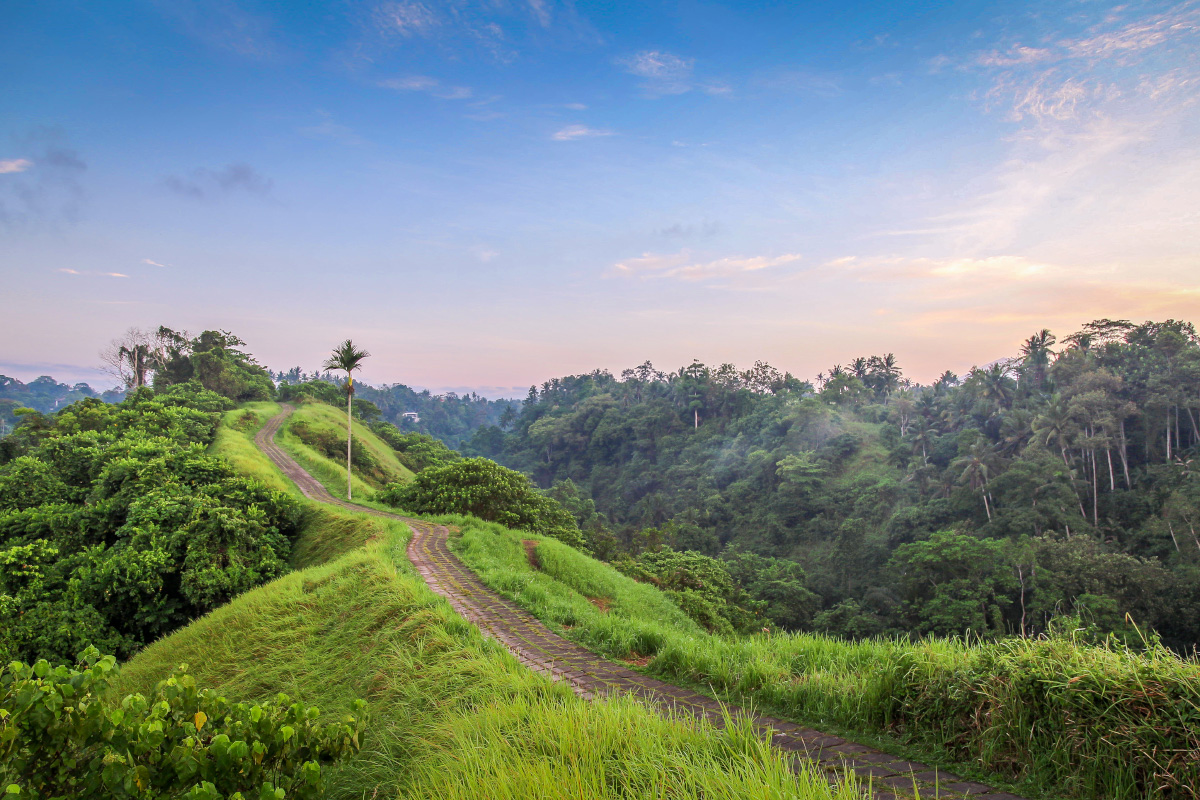 Panorama Campuhan Ridge Walk yang menenangkan