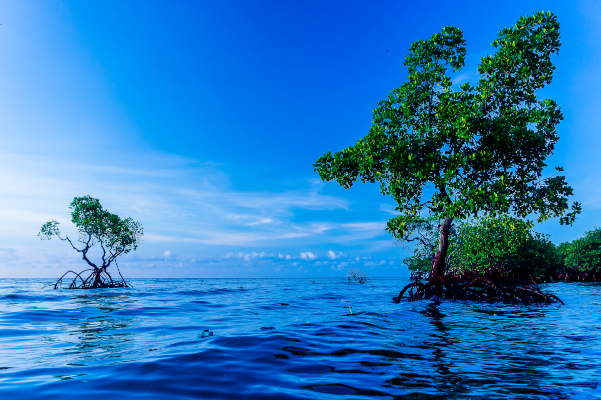 Destinasi hits di Sulawesi Barat, Pulau Karampuang