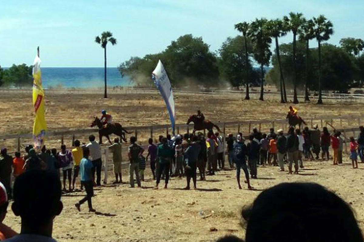 Highly Popular Horse Racing Competitions along the  Border with Timor Leste