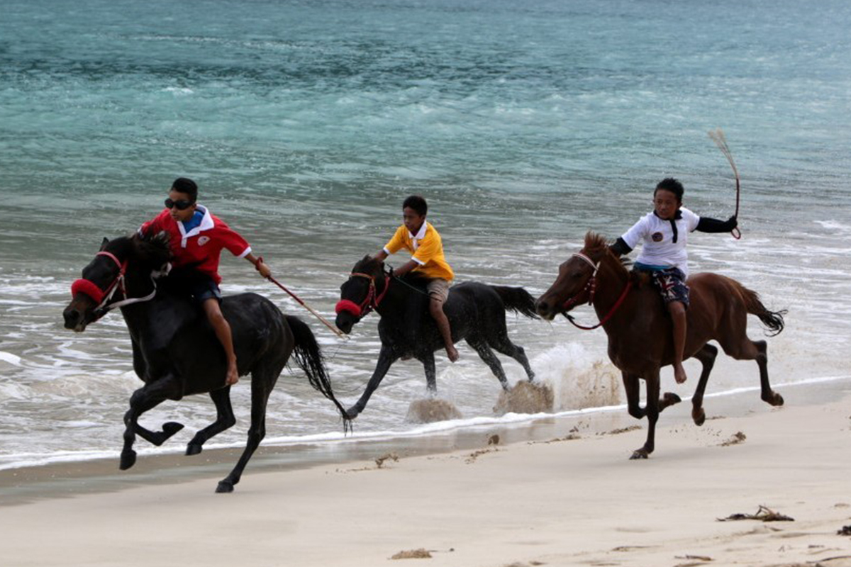 Highly Popular Horse Racing Competitions along the  Border with Timor Leste