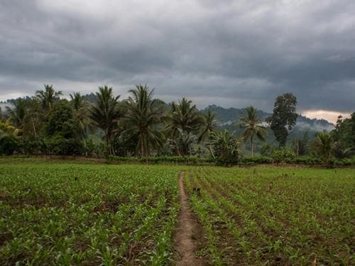 Photographing Endemic Wildlife of North Sulawesi