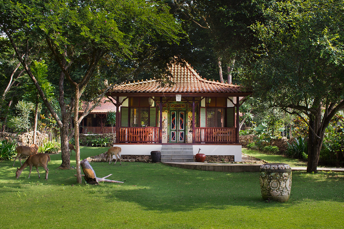 Plataran Menjangan, Bali in the lush forest