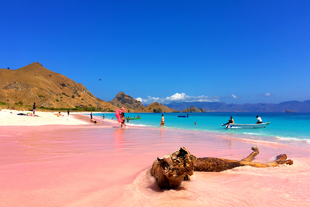 pink-beach