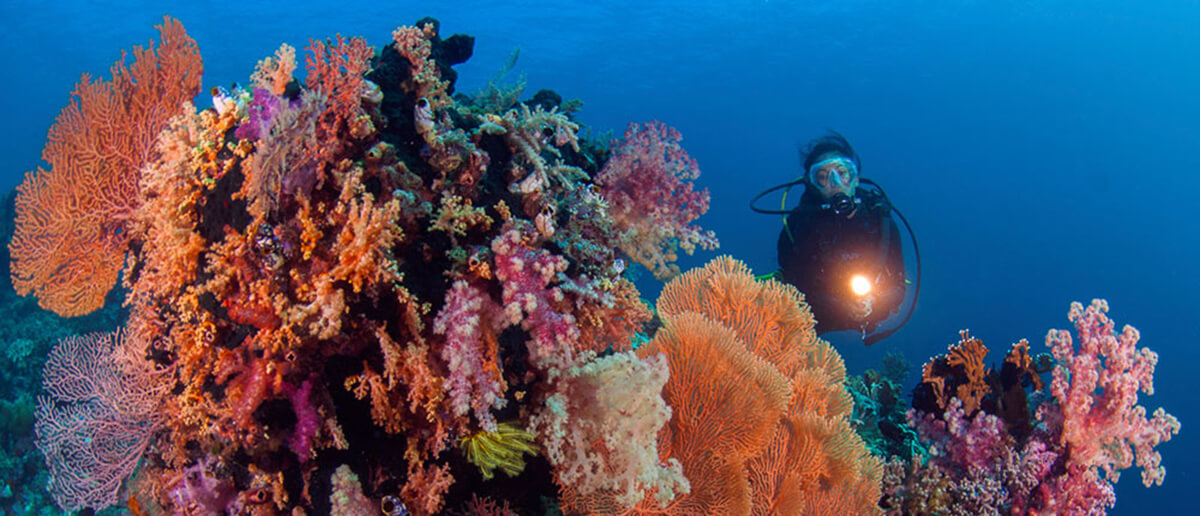 8 Top World Class Diving Resort for You to Enjoy in Indonesia