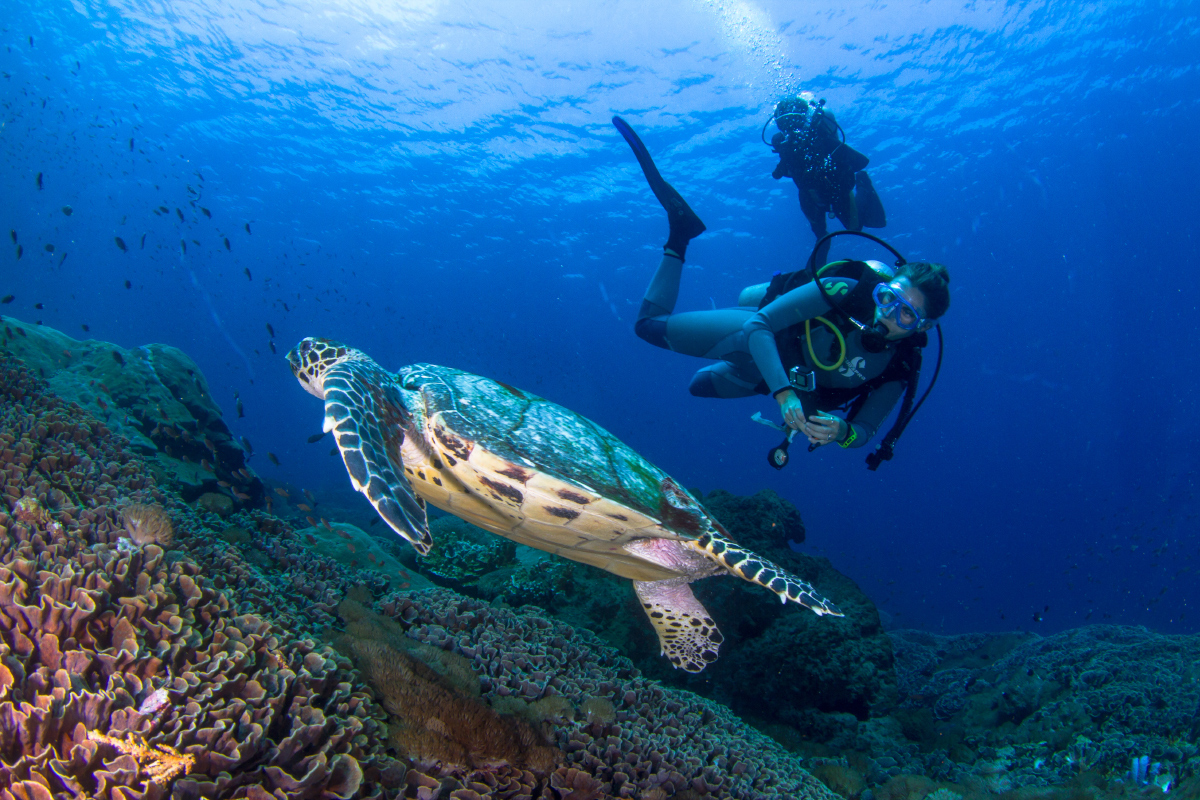 Bali's Adrenaline pumping Water Sports